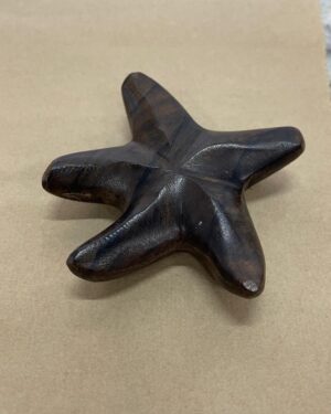 Estrella de mar madera