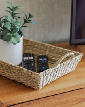 Charola Zeledonia Grande