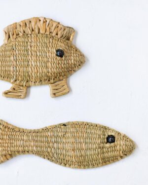 Pez de chuspata chico