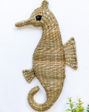 Caballito de mar de chuspata