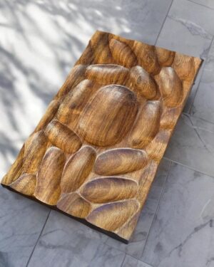 Plato agua de Tzalam 28x17